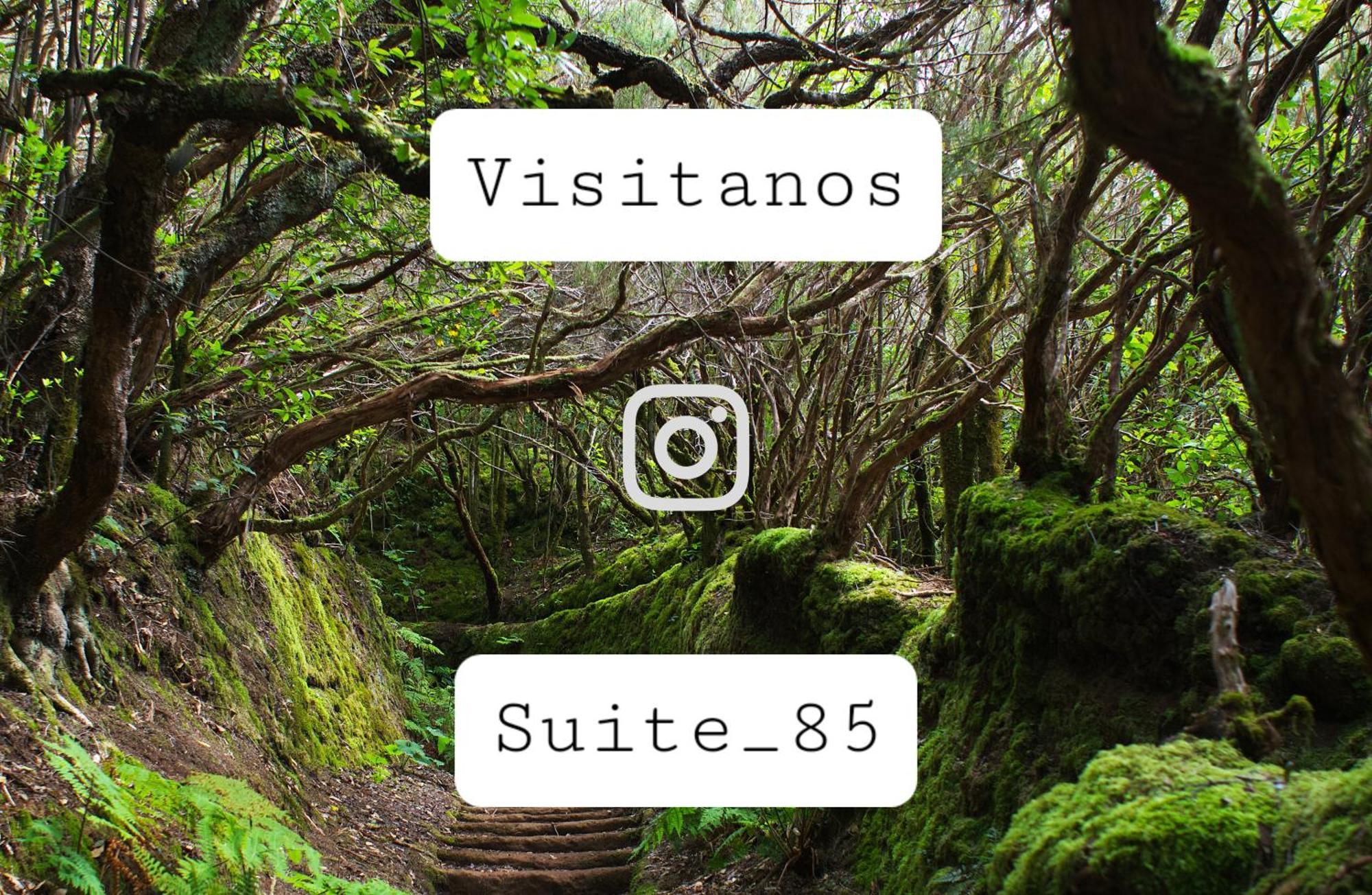 Suite 85, Villa Boutique Privada Con Piscina Icod De Los Vinos Eksteriør bilde