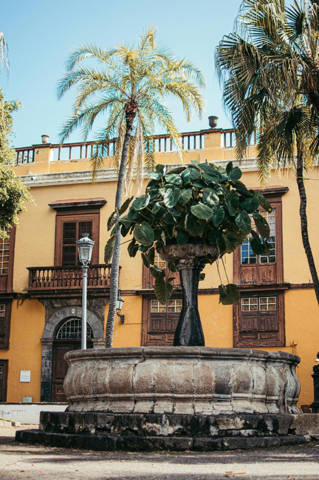 Suite 85, Villa Boutique Privada Con Piscina Icod De Los Vinos Eksteriør bilde